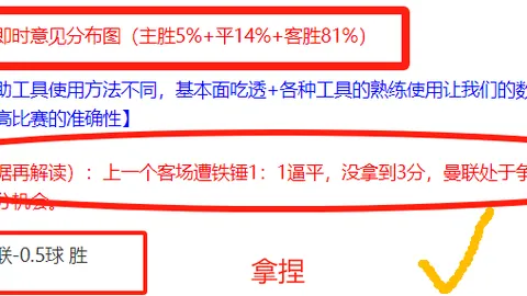 J联赛岐阜FC对决甲府风林，专家推荐质合分析预测期号