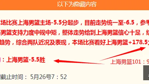 总决赛尼克斯主场反弹攻略，2026赛季不容错过