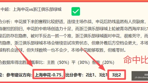2026最新周连赢12周策略终极指南，掌握技巧赢未来
